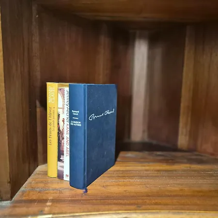 La Muse Centre Historique Appartamento *